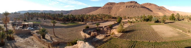 Date palms and cultivation on the valley floor. Taghit.